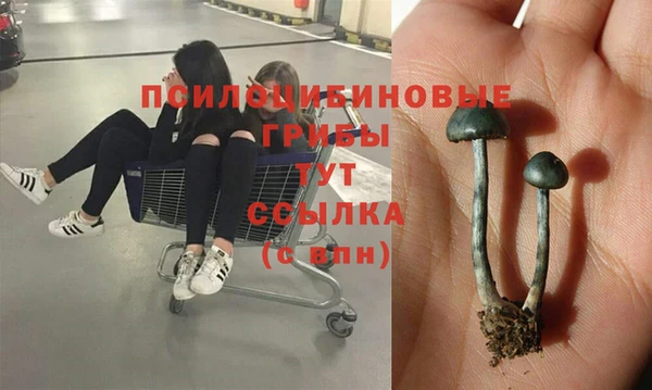 mdpv Аркадак