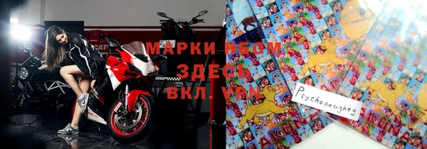 прущие грибы Армянск